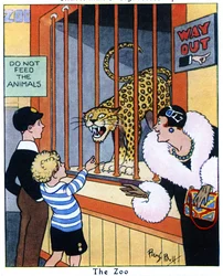 The Zoo, 1936